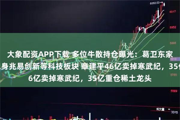 大象配资APP下载 多位牛散持仓曝光：葛卫东家族221亿持仓现身兆易创新等科技板块 章建平46亿卖掉寒武纪，35亿重仓稀土龙头